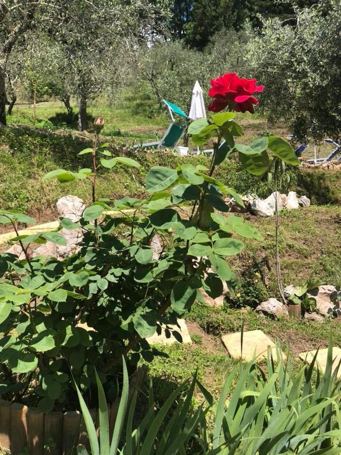 B&B Puccini Pescaglia Kültér fotó